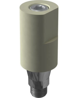 Reiner Scan Bodies Bone Level