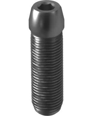 Titanium Screws Ankylos® Compatible