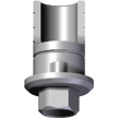 Angulated Ti base INT Hex Single RP